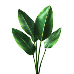 Obraz premium Green plant leaves close up view