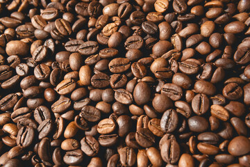 Close-up of freshly roasted coffee beans	
