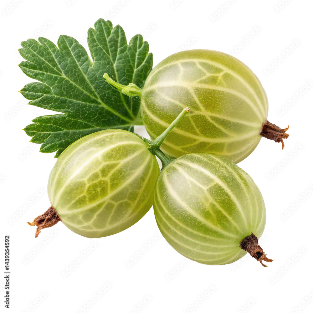 Aufkleber green gooseberries with semi translucent skin and leaf create fresh and vibrant composition. detaile