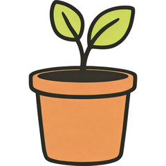 Potted Plant Seedling