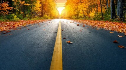 Serene autumn road pathway lined with vibrant leaves, as sunset casts warm glow over tranquil landscape of trees and nature, inviting exploration in fall outdoors.