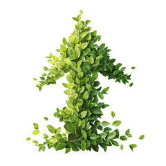 Green Arrow of Leaves Nature's Upward Trend