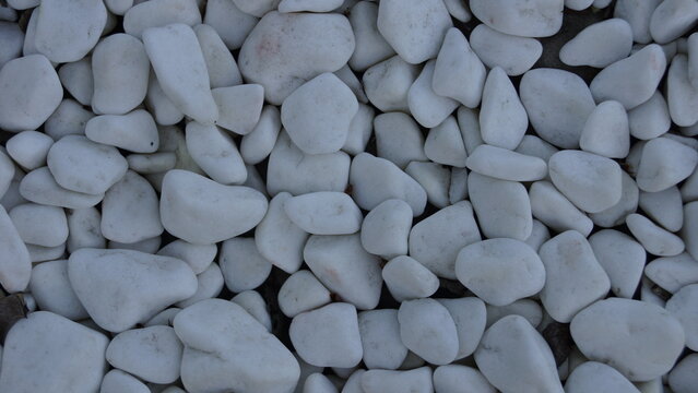 Background of white decorative pebbles on a garden flowerbed