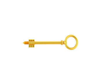 Golden Antique Key with Metallic Shine