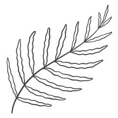 Fototapeta premium illustration of a branch with leaves