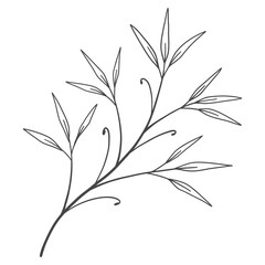 Naklejka premium illustration of a branch with leaves