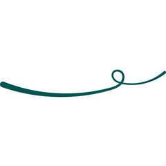 Hand Drawn Swash Line