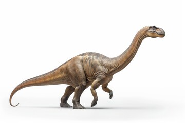 Fototapeta premium Brachiosaurus: Towering Herbivore Isolated On White Background.