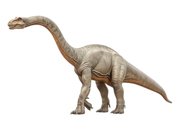 Fototapeta premium Brachiosaurus: Ancient Giant Reptile Isolated On White Background.