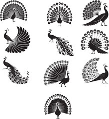 Peacock vector icons