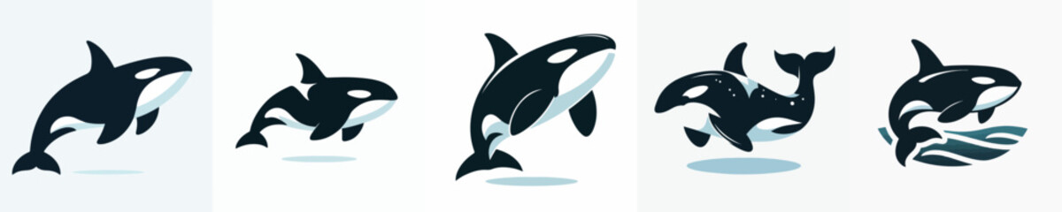 Vector of a killer whale (orca) silhouette.