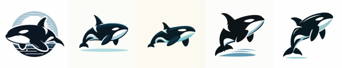 Vector of a killer whale (orca) silhouette.