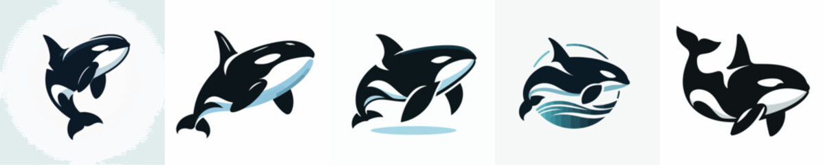 Vector of a killer whale (orca) silhouette.