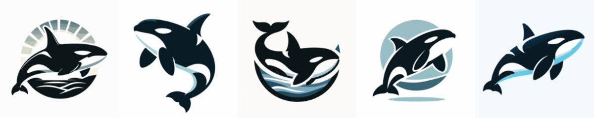 Vector of a killer whale (orca) silhouette.