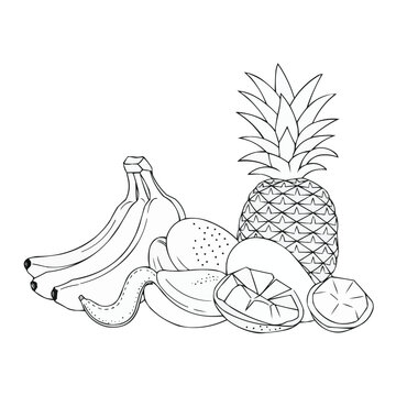 black and white tropical fruit arrangement clip art preview
