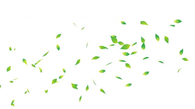 水彩風　緑の葉っぱ　フワフワ下から上へ　背景白色 Watercolor style:Green leaves fluffy from bottom to top on white background