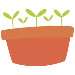 green plant in a pot