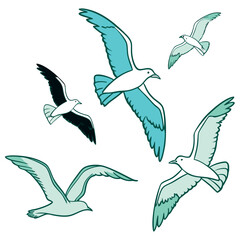 vector illustration of a flying bird