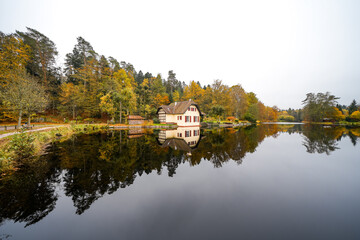 Fototapeta premium Landscape at the Sägmühlweiher pond in Ludwigswinkel. Nature at the lake in autumn. Reservoir at the edge of the forest. 