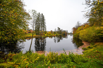 Obraz premium Landscape at the Sägmühlweiher pond in Ludwigswinkel. Nature at the lake in autumn. Reservoir at the edge of the forest. 