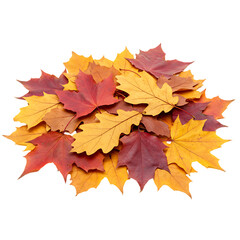 Obraz premium Autumn Leaves Pile