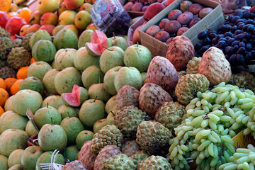 fresh fruits from the local market in india