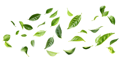 A white background with green leaves scattered all over it