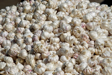 fresh vegetables on a local market in mumbai, india