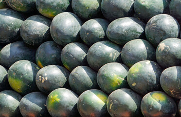 fresh fruits from the local market in india