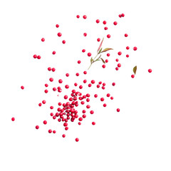 Scattered pink peppercorns and delicate green sprigs float in a captivating display