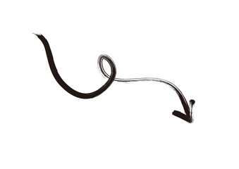 ブラシで描いたようなくねくねした矢印