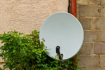 Dish antenna mounted on wall next to greenery in urban setting during clear day