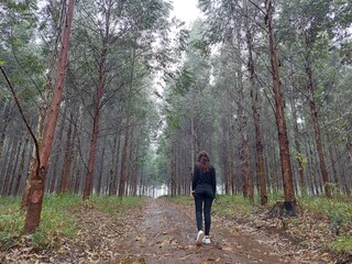Fototapeta premium woman walking among trees