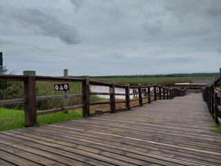 Wooden dock over river estuary 