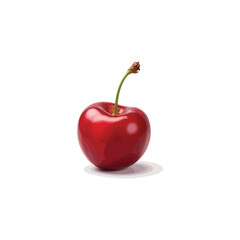 Fresh cherry vector image in 3D