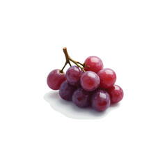Fresh grape vector image in 3D