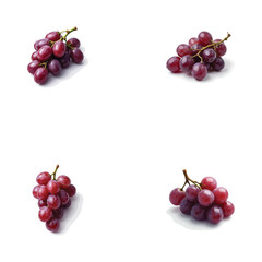 Fresh grape vector image in 3D
