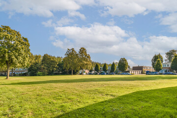 A picturesque park scene featuring lush greenery, trees, and residential buildings under a bright blue sky, perfect for relaxation and leisure activities.