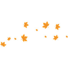 Maple Leaf Illustration