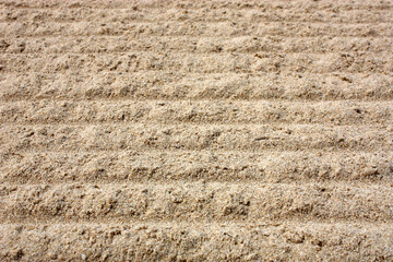 Textured sandy surface with natural ripples