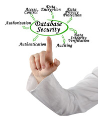 Seven Components of Database Security