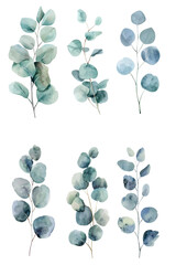 blue and green leaves