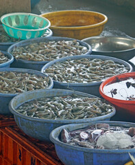 fish on a local market in mumbai