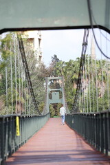 Rear view of a man walking on a suspension bridge