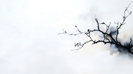Bare branches against a hazy sky