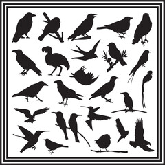 Diverse Bird Silhouettes for Design and Illustration