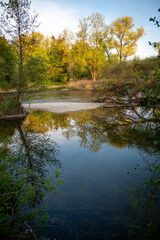 Calm Reflection On The River Amper Near Olching, Munich: Lush Green Trees Along The Water In Springtime