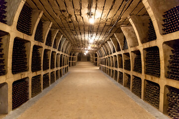 Long illuminated corridor inside an ancient wine cellar, lined with symmetrical stone shelves filled with dusty vintage wine bottles, creating a mysterious and historic atmosphere