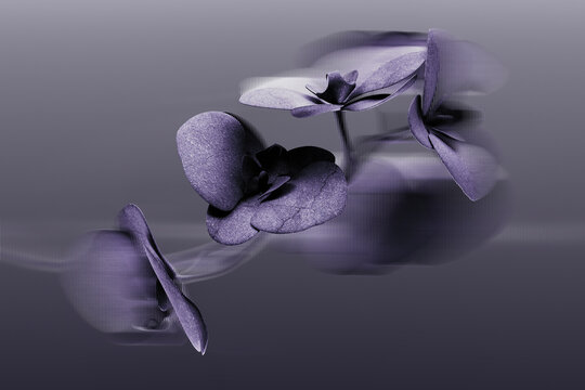 3D rendering of an abstract orchid with a refracted and fractal glass effect