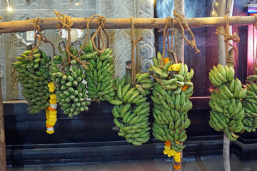 hindu banana festival in goa